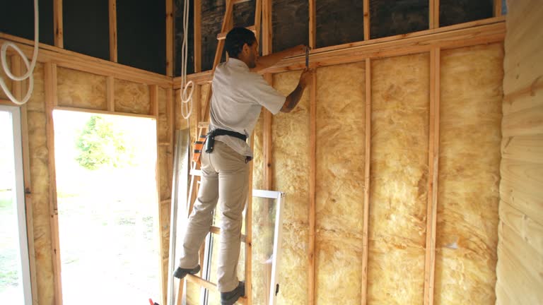 Best Wall Insulation Installation  in Basye, VA